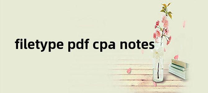 'filetype pdf cpa notes'